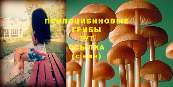 молекула духа Магас