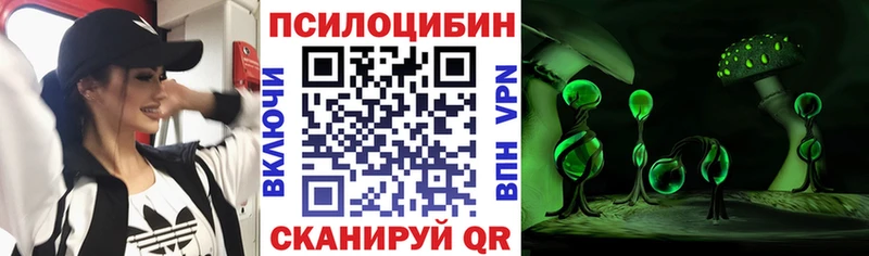 Галлюциногенные грибы мицелий где найти наркотики Красавино